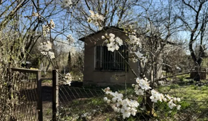 Działka rod Gliwice Śródmieście