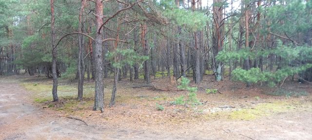 Działka budowlana Popowo-Letnisko, ul. Słoneczna. Zdjęcie 1