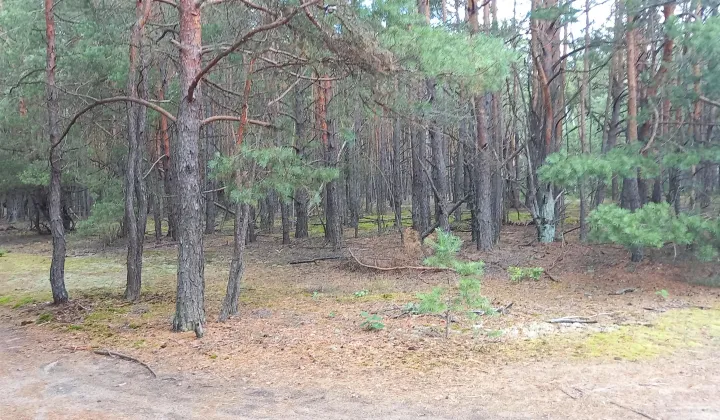 Działka budowlana Popowo-Letnisko, ul. Słoneczna