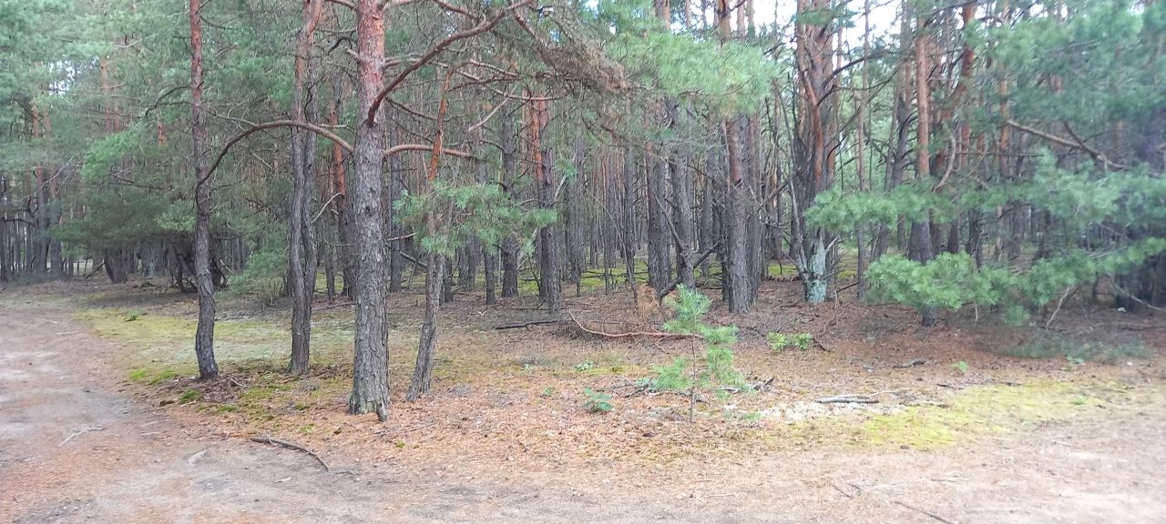 Działka budowlana Popowo-Letnisko, ul. Słoneczna. Zdjęcie 1