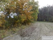 Działka siedliskowa Gutowo. Zdjęcie 4