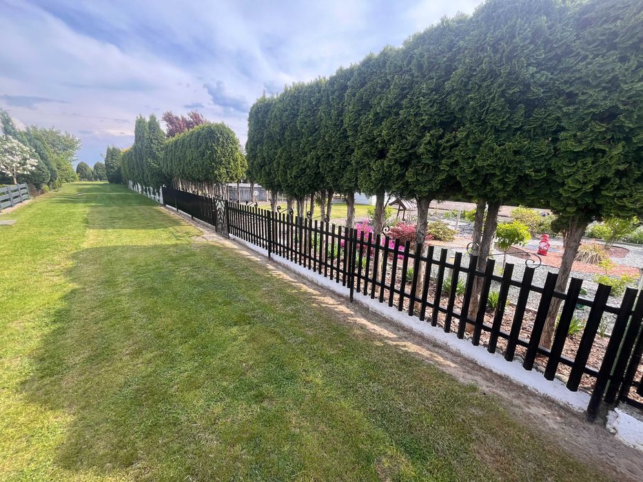 Działka rod Kalisz Szczypiorno, ul. Daleka. Zdjęcie 4