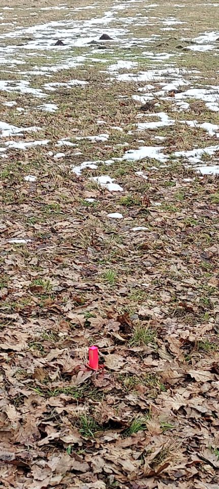 Działka rolno-budowlana Chorągwica. Zdjęcie 4