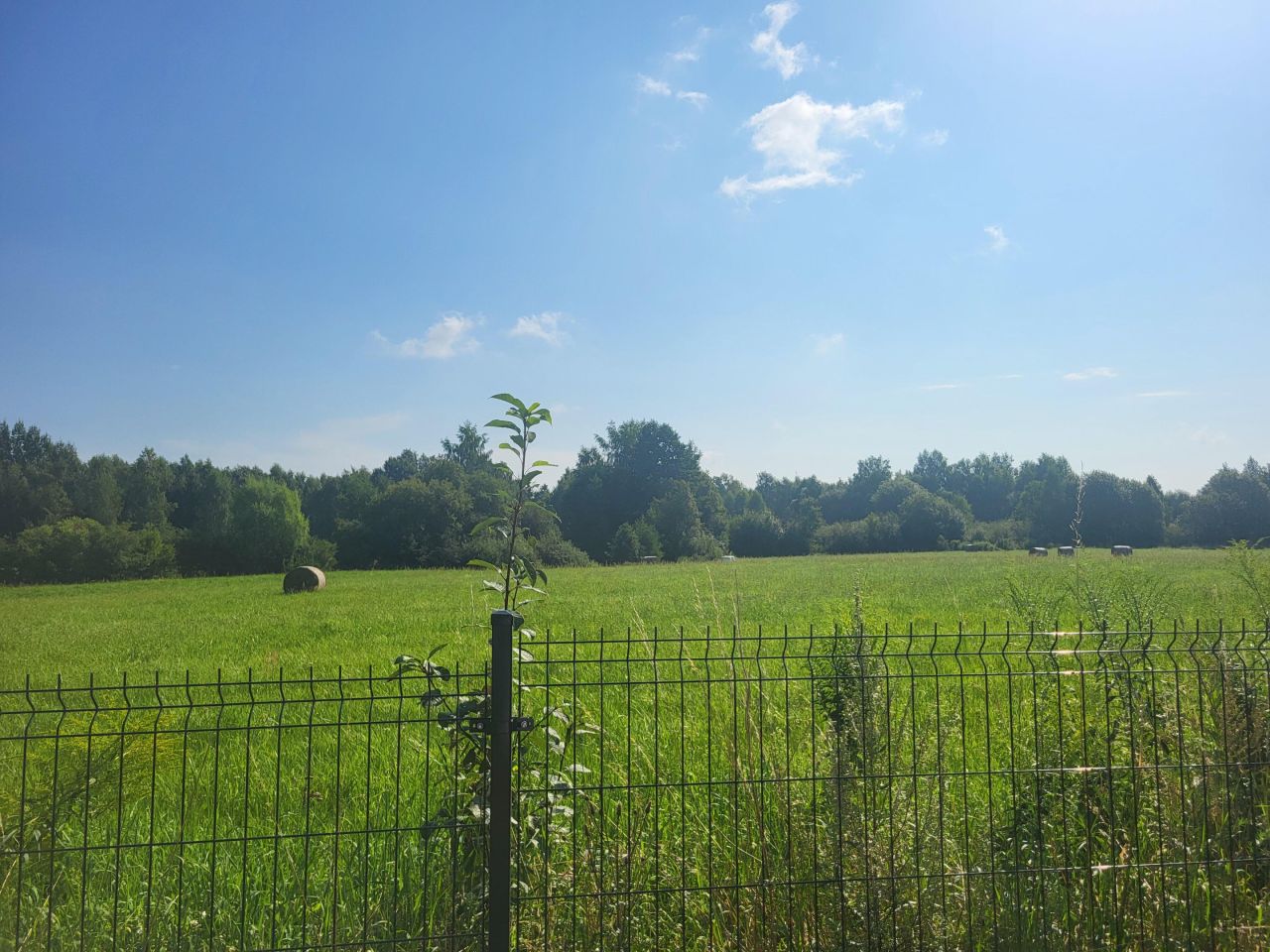 Działka budowlana Patryki. Zdjęcie 3