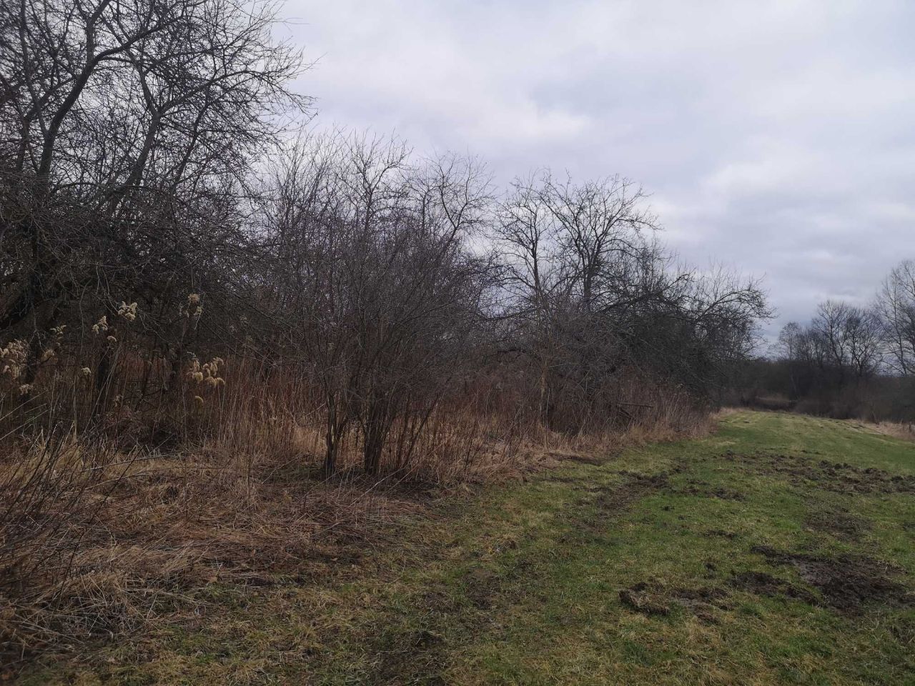 Działka rolno-budowlana Nadbrzeż. Zdjęcie 4