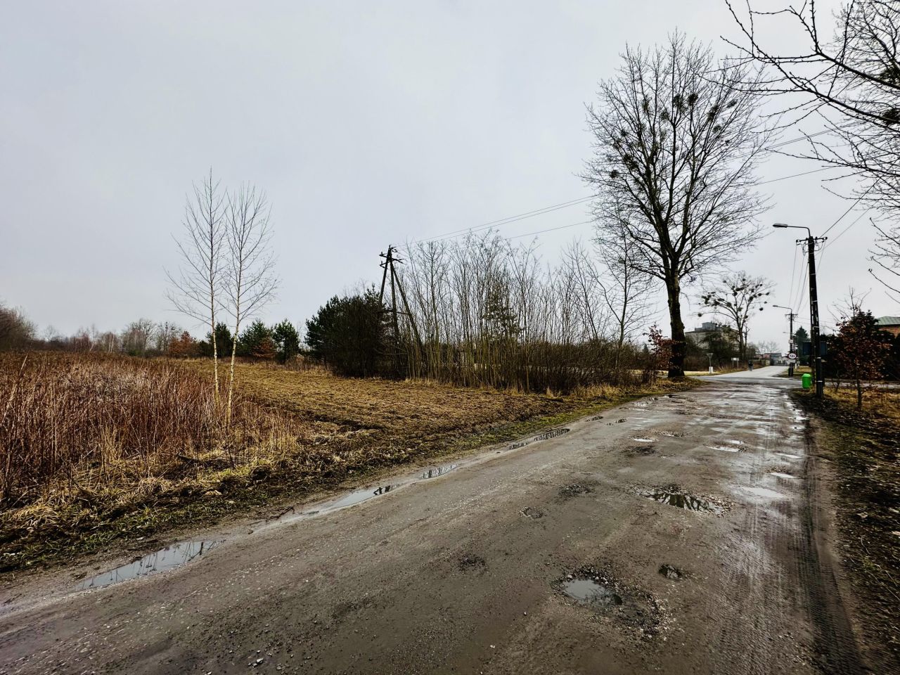 Działka rolna Wygoda. Zdjęcie 6