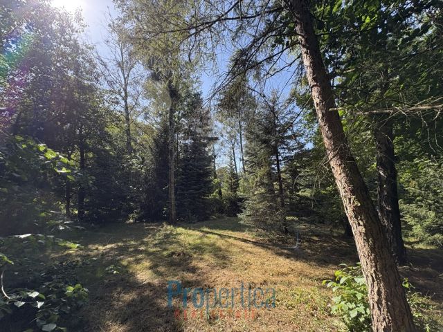 Działka budowlana Konstancin-Jeziorna, ul. Tadeusza Kościuszki. Zdjęcie 11