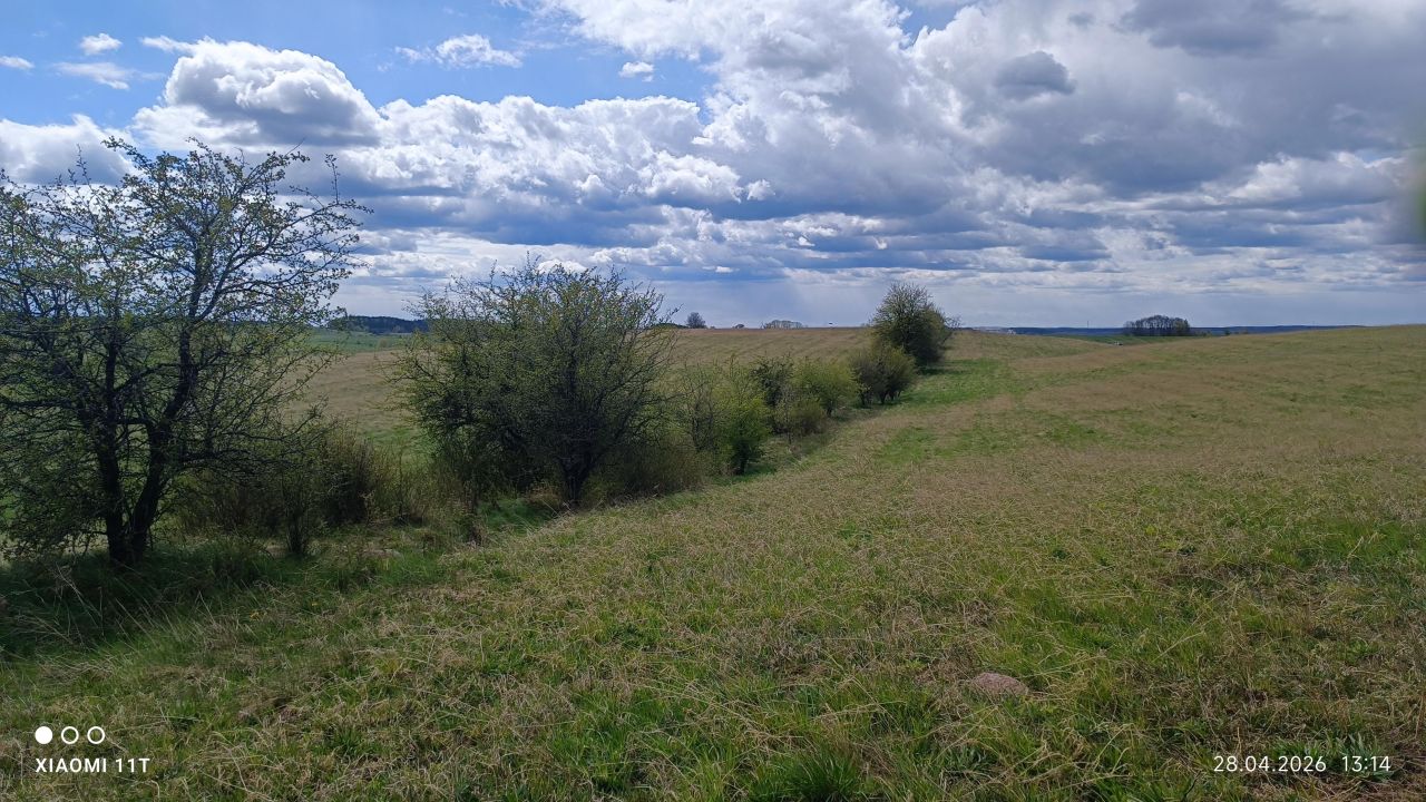 Działka rolno-budowlana Trelkowo. Zdjęcie 4