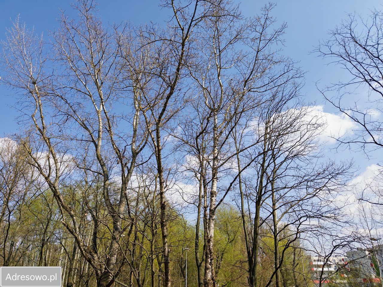 Mieszkanie 3-pokojowe Wrocław Psie Pole, ul. Vasco da Gamy. Zdjęcie 3