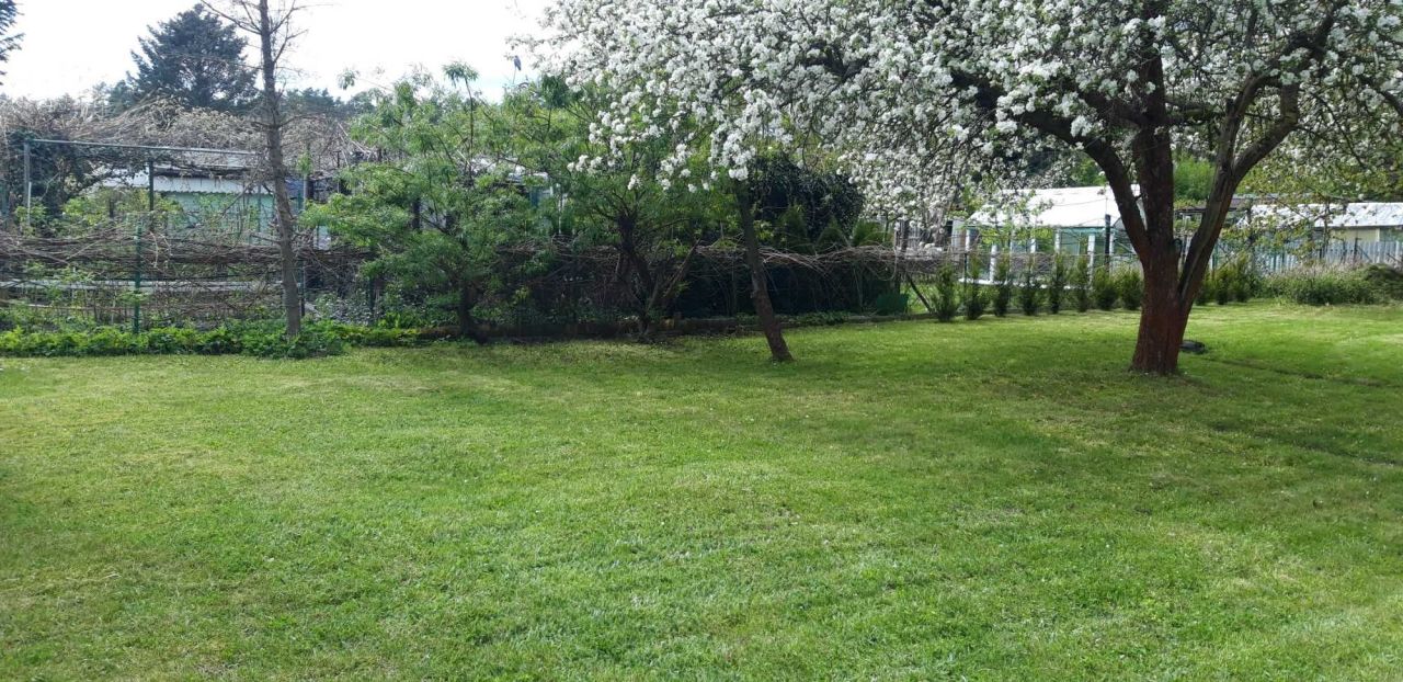 Działka rekreacyjna Zielona Góra