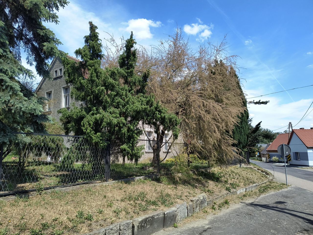 dworek, 10 pokoi Lipinki Łużyckie, ul. Główna. Zdjęcie 4