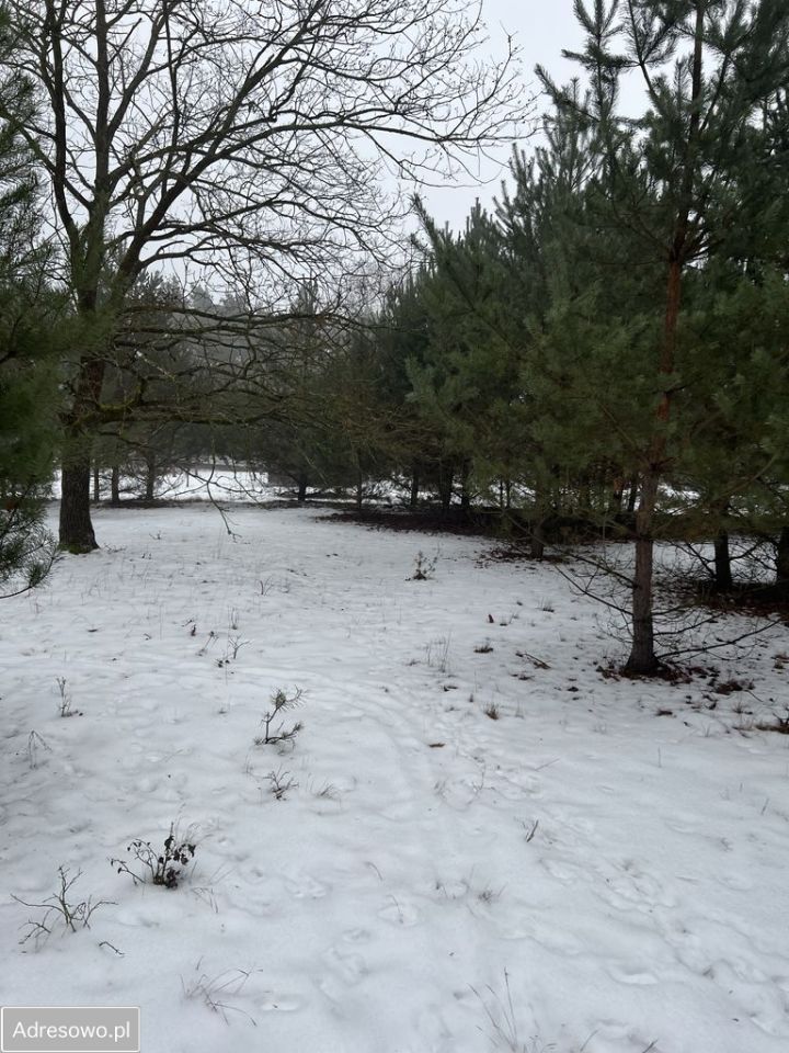 Działka rolno-budowlana Andrzejów. Zdjęcie 11