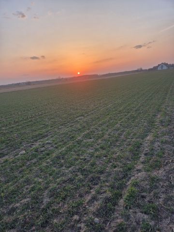 Działka budowlana Wola Bachorska. Zdjęcie 1