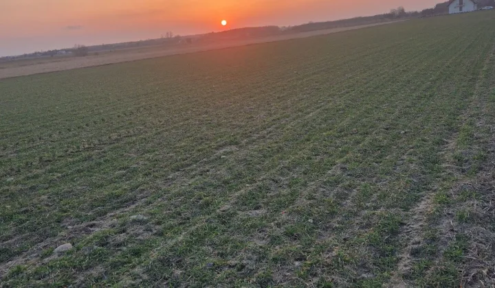 Działka budowlana Wola Bachorska