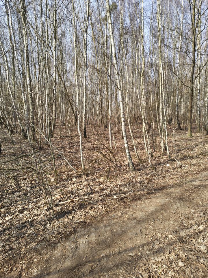 Działka rolno-budowlana Joachimów-Mogiły. Zdjęcie 2