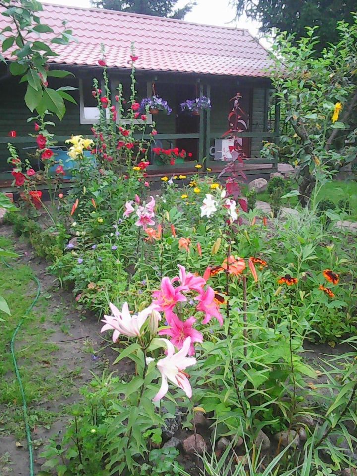 Działka rod Bydgoszcz Szwederowo, ul. Bielicka. Zdjęcie 3