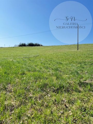 Działka rekreacyjna Wilimy. Zdjęcie 6