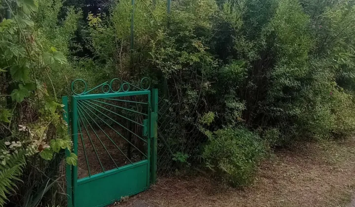 Działka rod Warszawa Ochota, ul. Walewska
