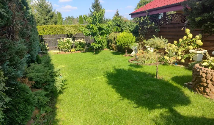 Działka rod Włocławek, ul. Graniczna