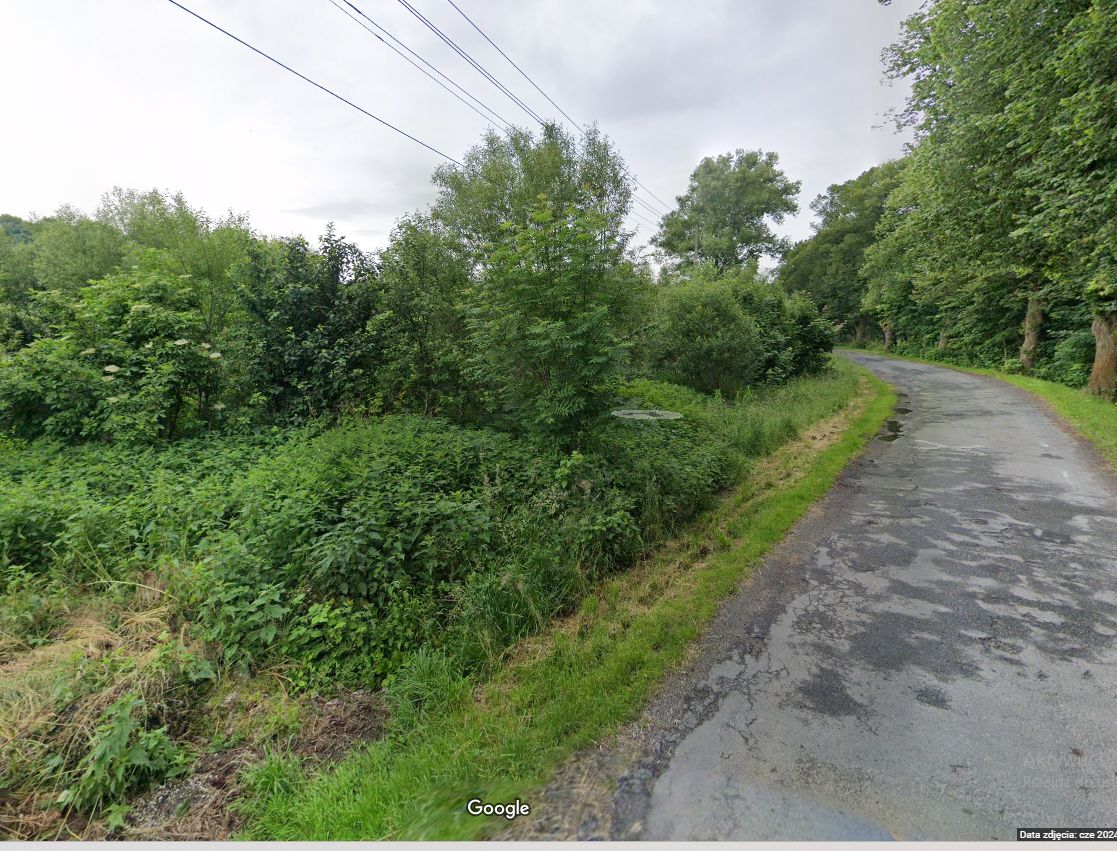 Działka rolno-budowlana Trzebieszowice. Zdjęcie 2