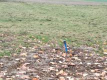 Działka budowlana Węgrzce. Zdjęcie 1