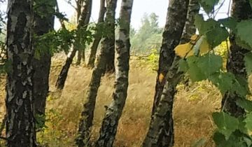 Działka inna Srocko Wielkie