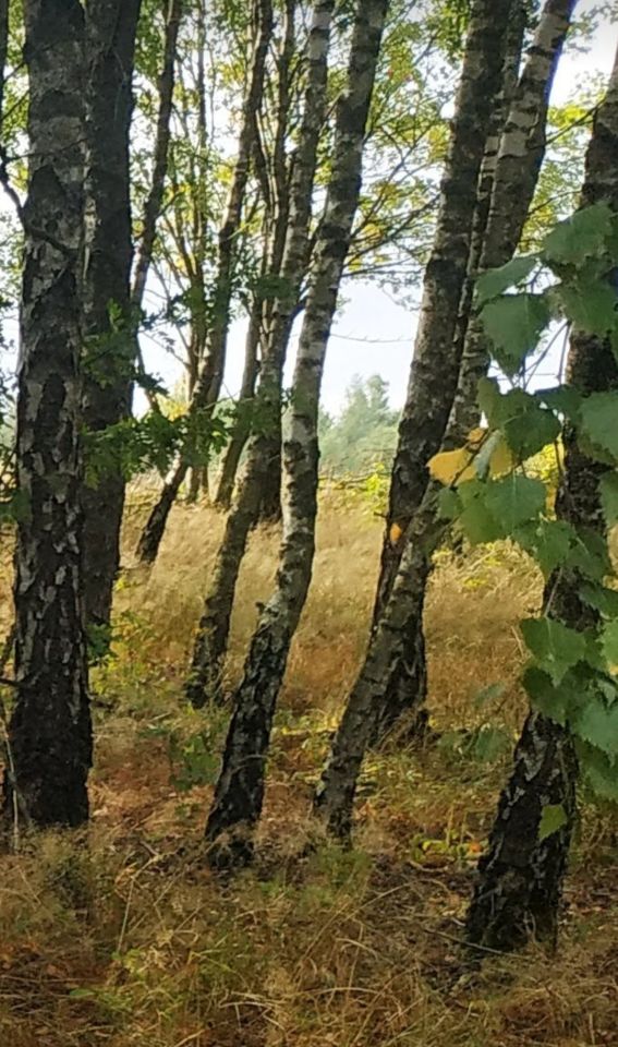 Działka inna Srocko Wielkie