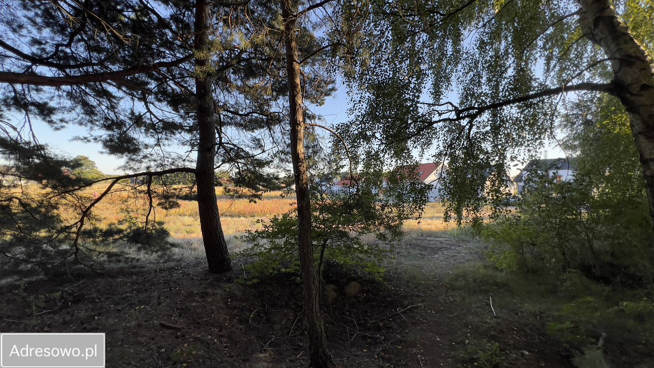 Działka rolno-budowlana Cekcyn Cekcynek. Zdjęcie 3
