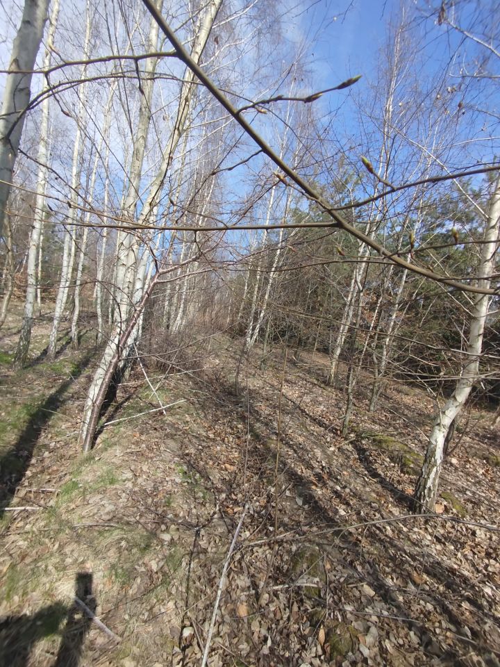 Działka budowlana Mikorzyn. Zdjęcie 3