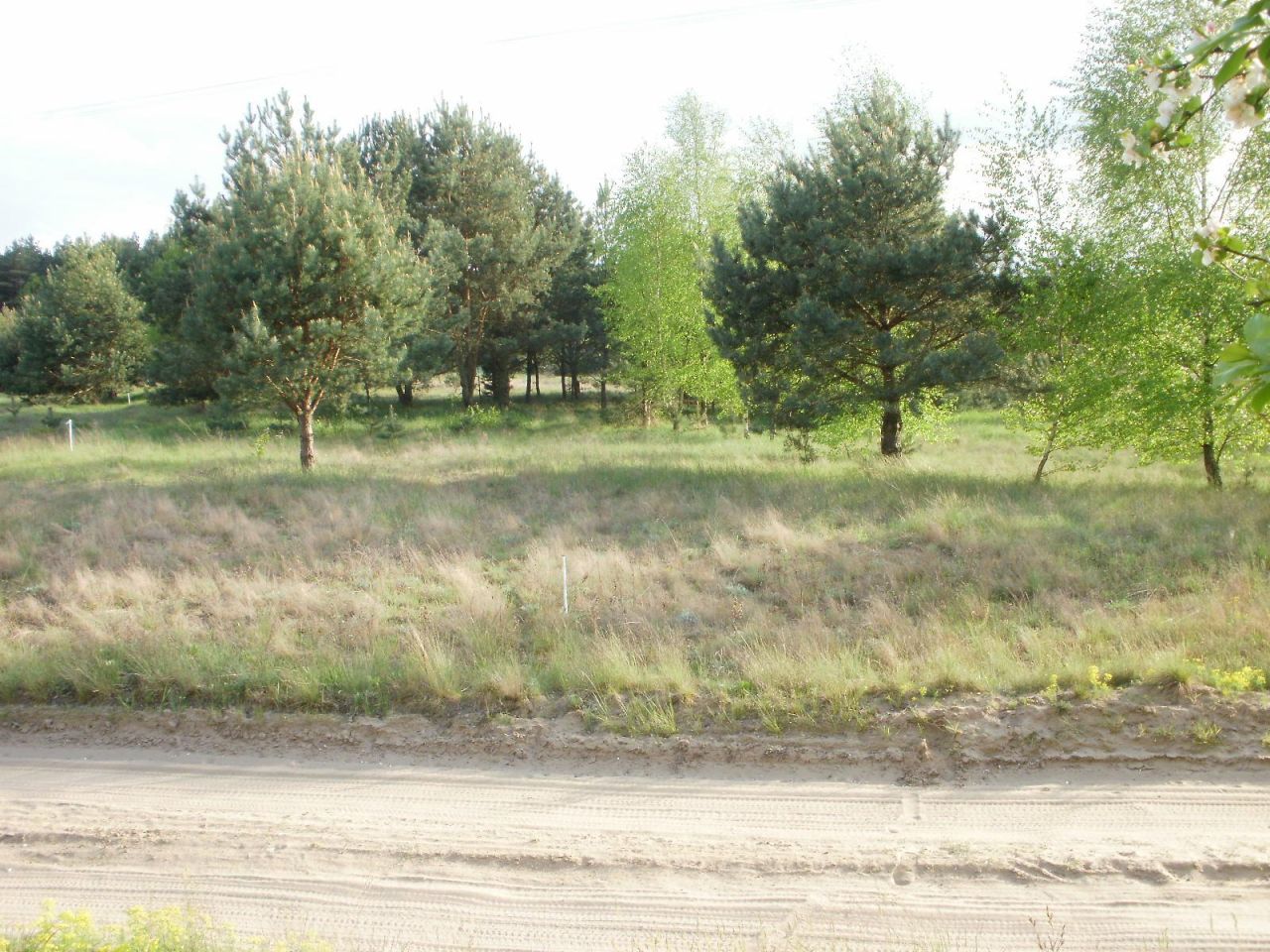 Działka rolno-budowlana Godzimierz. Zdjęcie 2