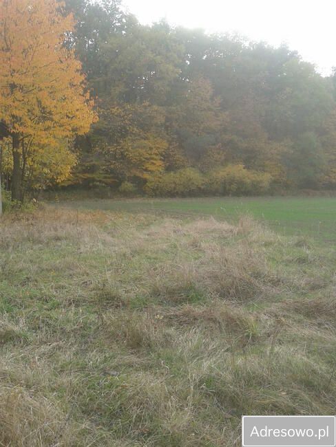 Działka Nasiechowice. Zdjęcie 7