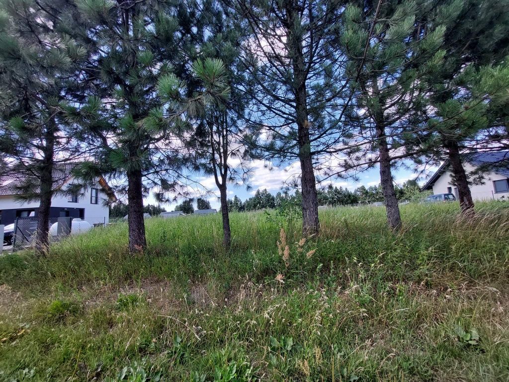 Działka budowlana Jasionna. Zdjęcie 2