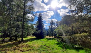 siedlisko, 6 pokoi Boguszów-Gorce