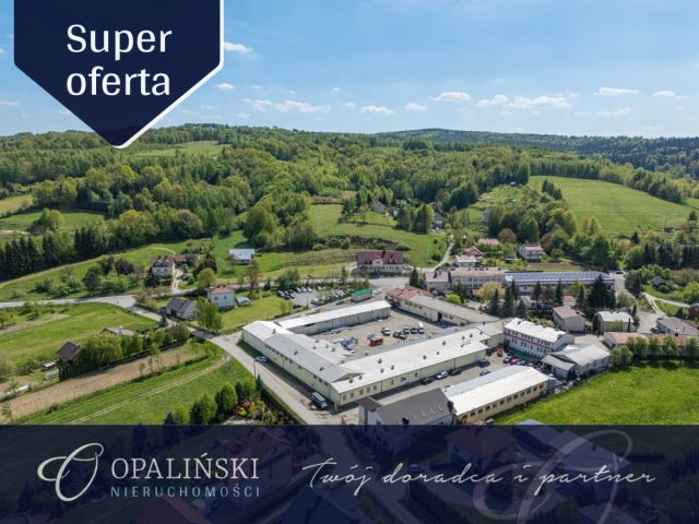 Lokal Lubenia. Zdjęcie 1