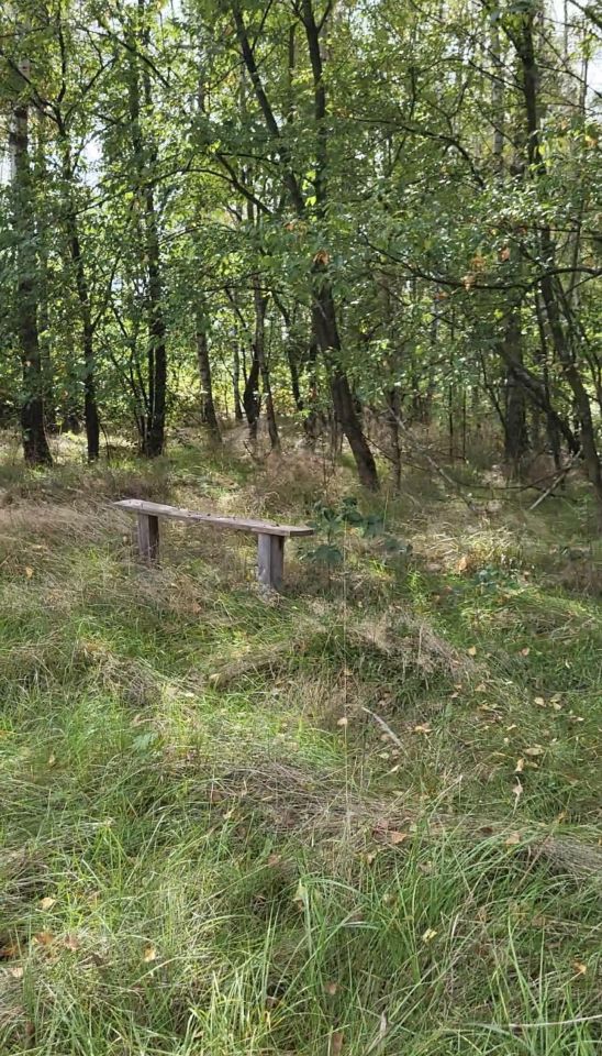 Działka leśna Koźla. Zdjęcie 8