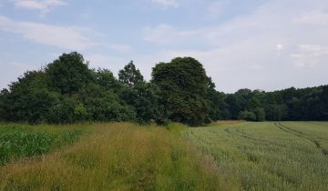 Działka siedliskowa Krzywiczyny Krzywiczyny-Kolonia
