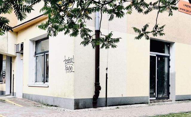 Lokal Częstochowa Lisiniec, al. Aleja Wyzwolenia. Zdjęcie 1