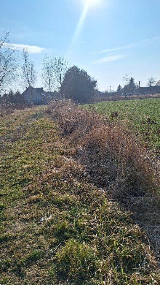 Działka rolno-budowlana Brzezia Łąka. Zdjęcie 3