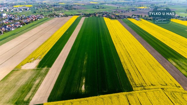 dom wolnostojący, 2 pokoje Budzyń. Zdjęcie 18