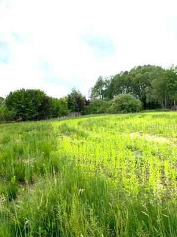 Działka budowlana Stara Wieś. Zdjęcie 4