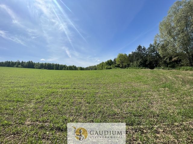 Działka Zła Wieś. Zdjęcie 10