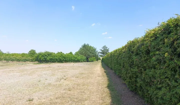 Działka rolna Steniatyn-Kolonia