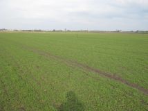 Działka budowlana Ceradz Dolny. Zdjęcie 4