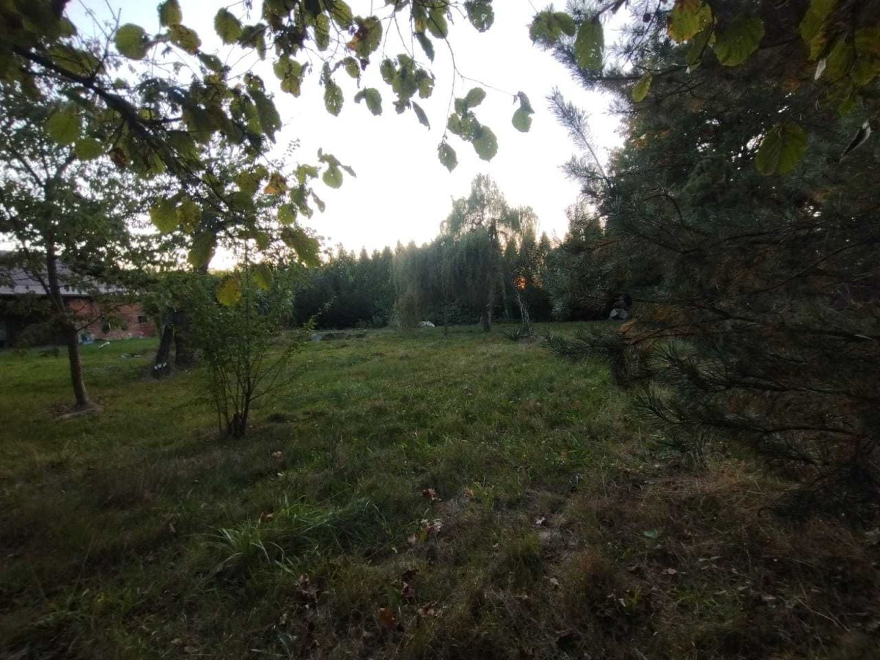 Działka budowlana Jankowice. Zdjęcie 2