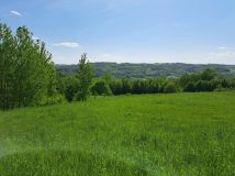 Działka rolna Baryczka. Zdjęcie 2