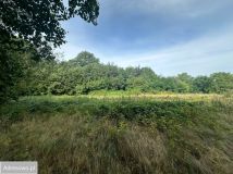 Działka budowlana Jaźwina. Zdjęcie 3