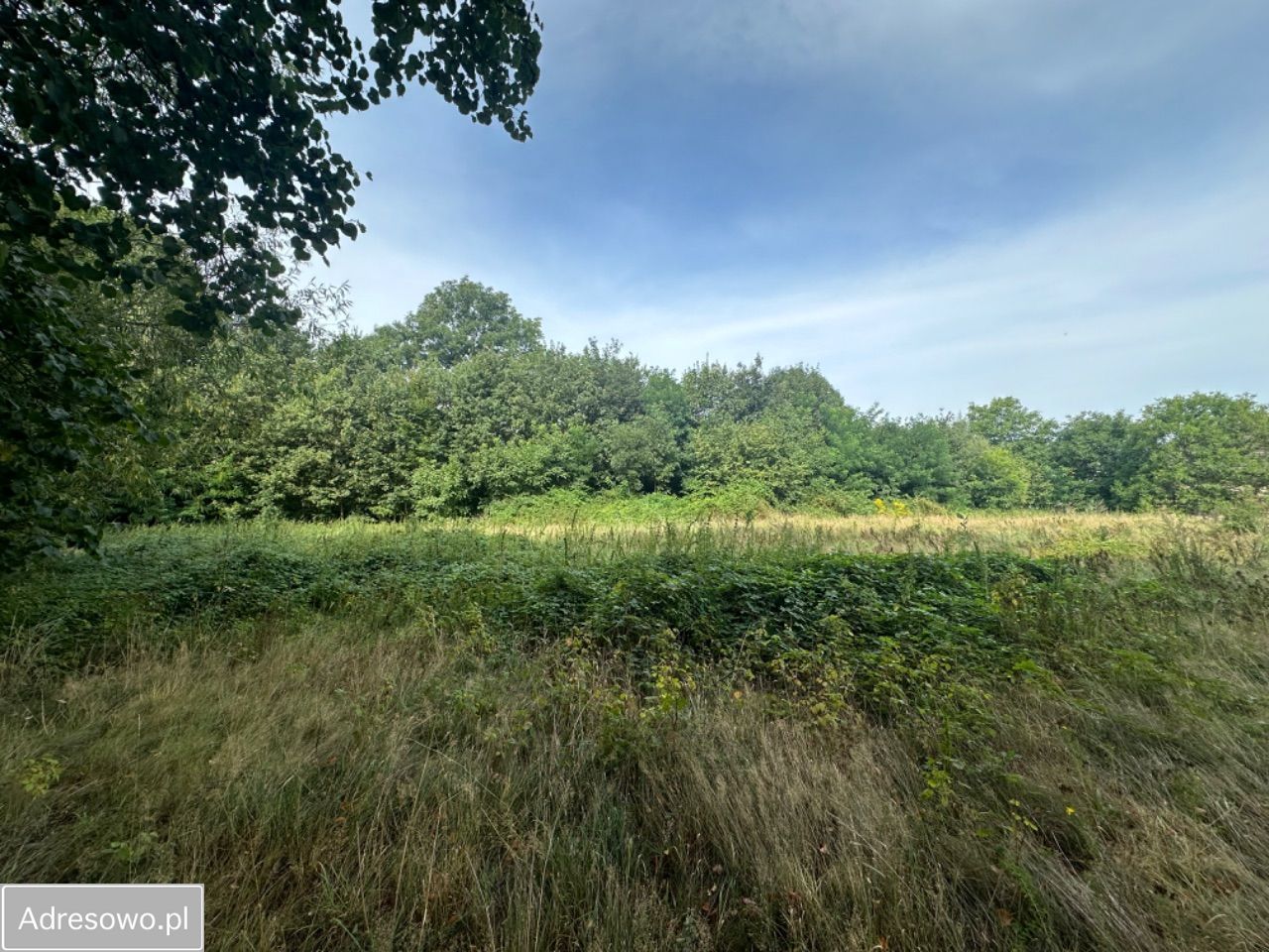 Działka budowlana Jaźwina. Zdjęcie 4