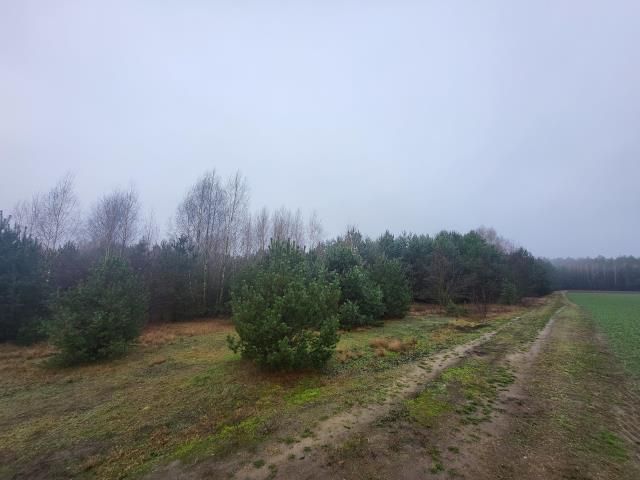 Działka rekreacyjna Nowe Miasto. Zdjęcie 6