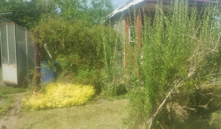 Działka rod Niekłonice