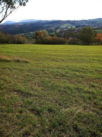 Działka rolno-budowlana Korzenna. Zdjęcie 1